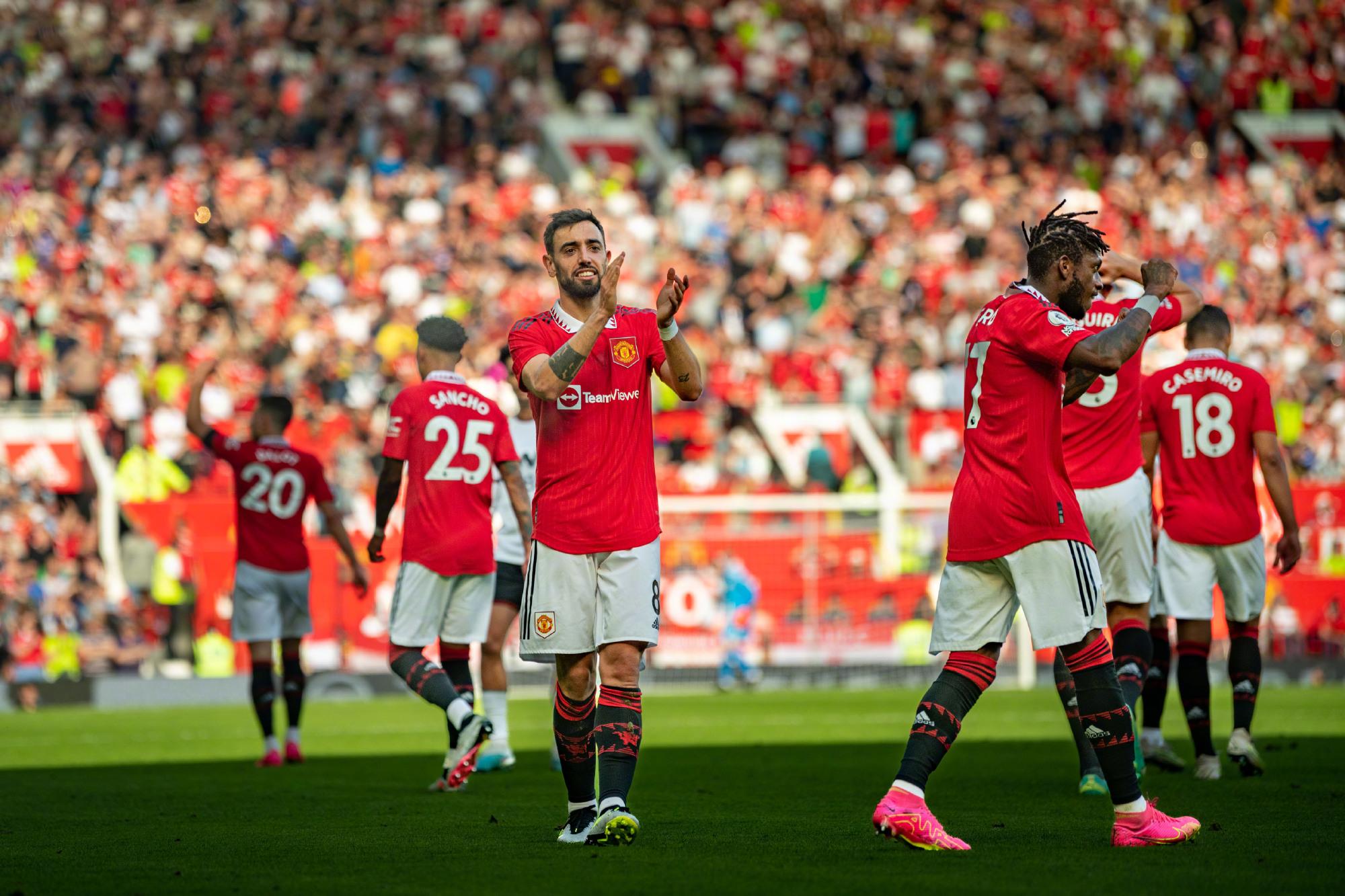 领头羊国际 领头羊国际